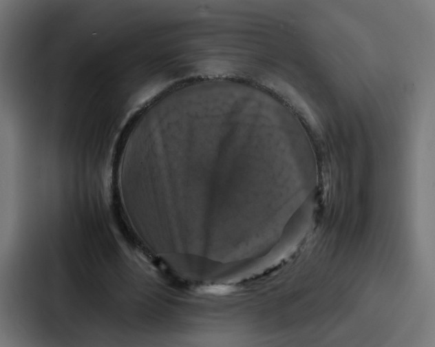 X0000087320488200705112140