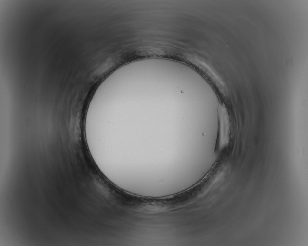 X0000087320489200705112140