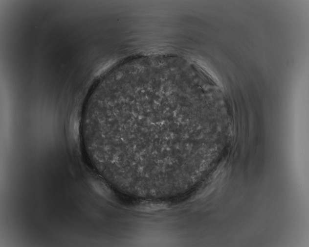 X0000087320491200705112140