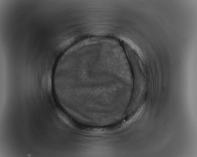 X0000087320493200705112140