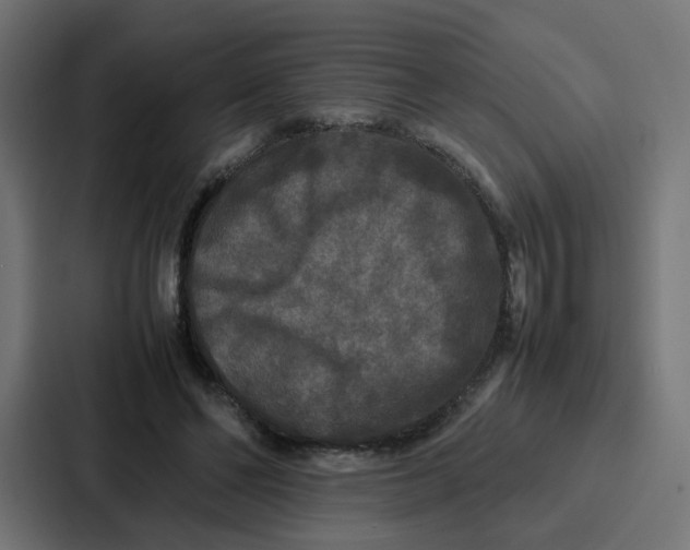 X0000087320494200705112140