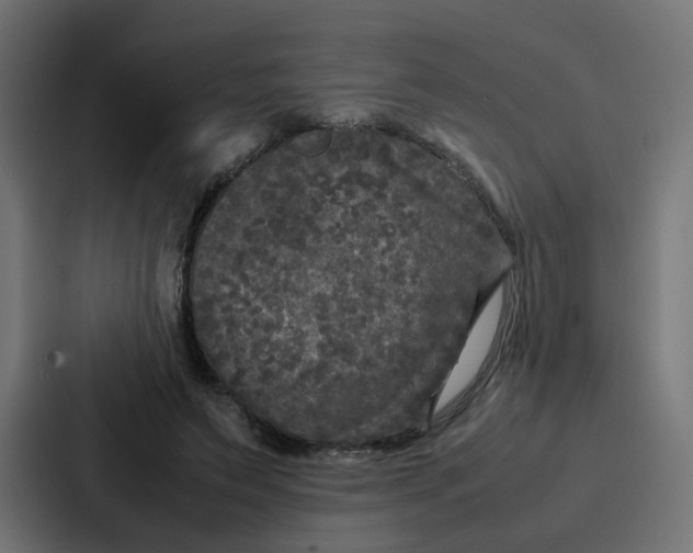 X0000087320495200705112140