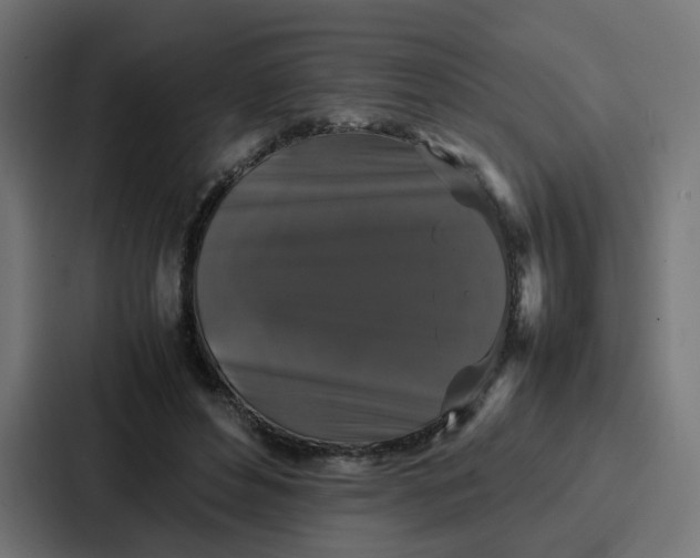 X0000087320496200705112140