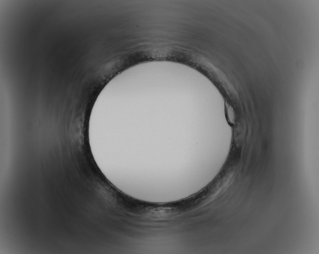 X0000087320497200705112140