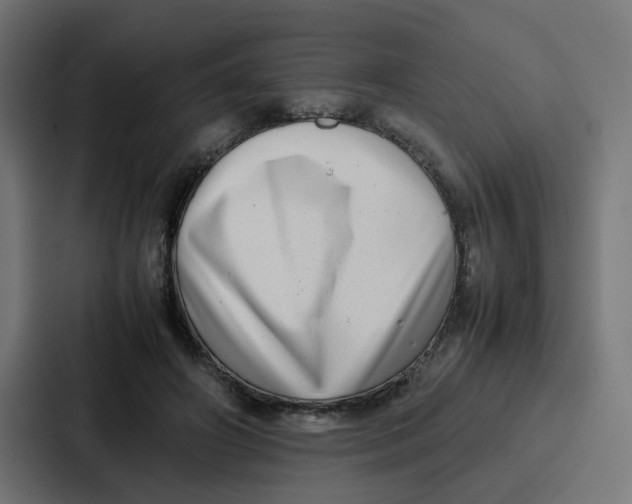 X0000087320498200705112140