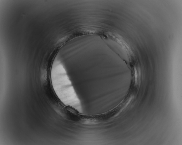 X0000087320500200705112140