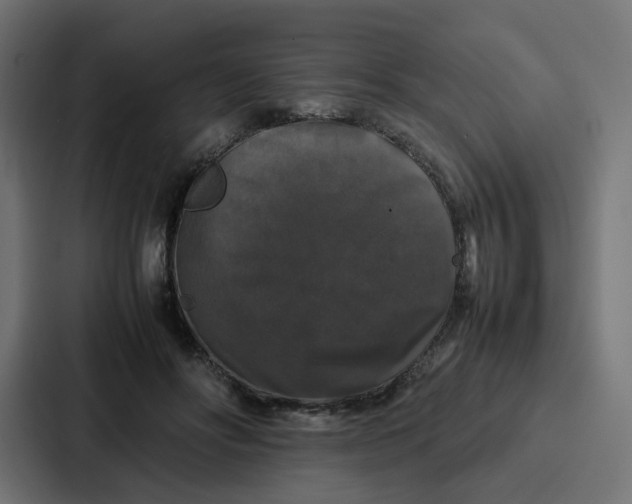 X0000087320502200705112140