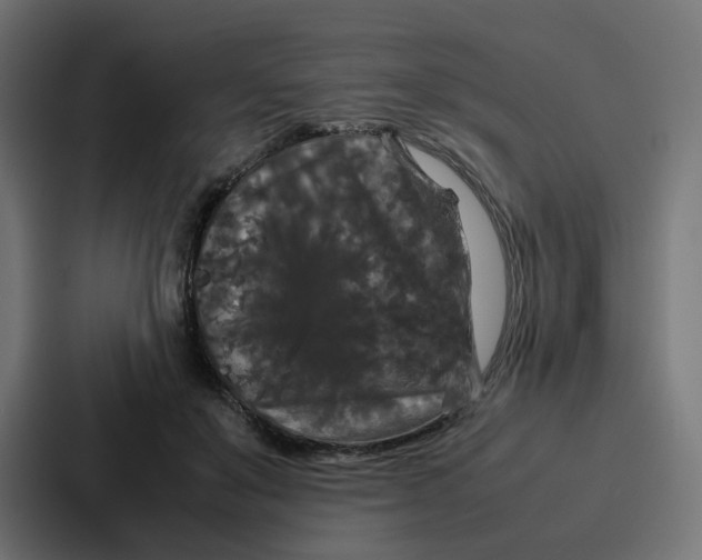 X0000087320503200705112140