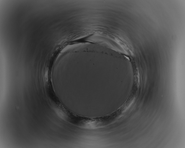 X0000087320504200705112140