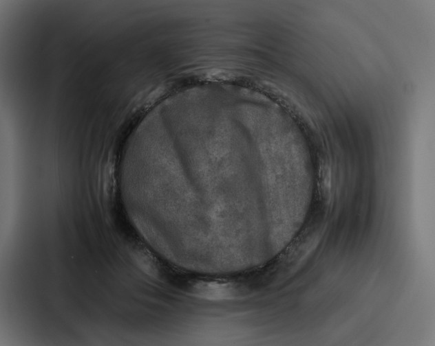 X0000087320506200705112140