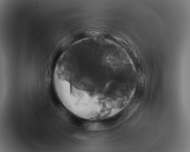 X0000087320507200705112140