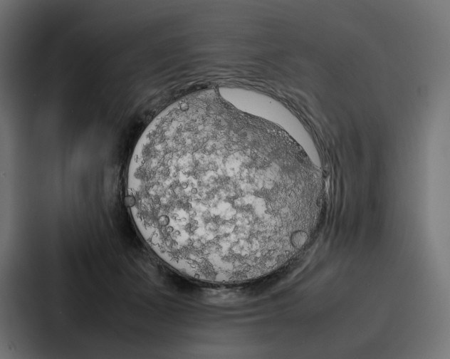 X0000087320511200705112139