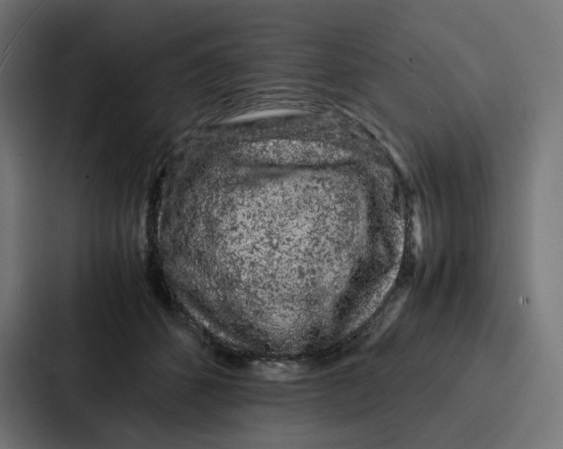 X0000087320512200705112139