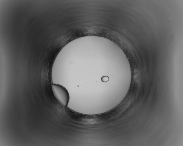 X0000087320514200705112139