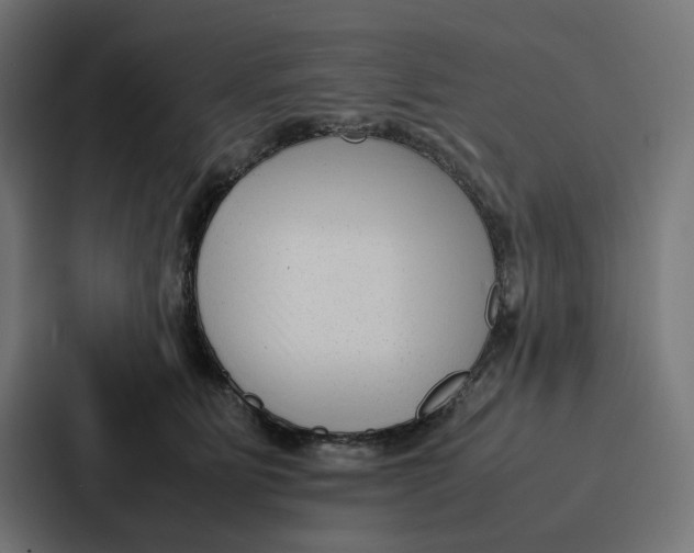 X0000087320515200705112139