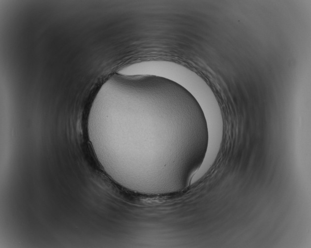 X0000087320516200705112139