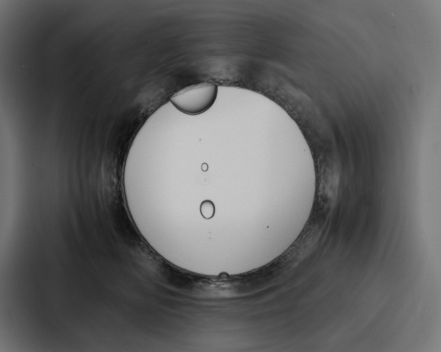 X0000087320518200705112139