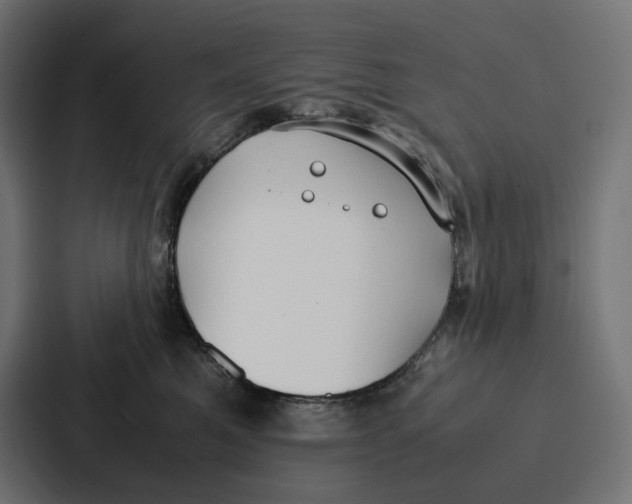 X0000087320521200705112139