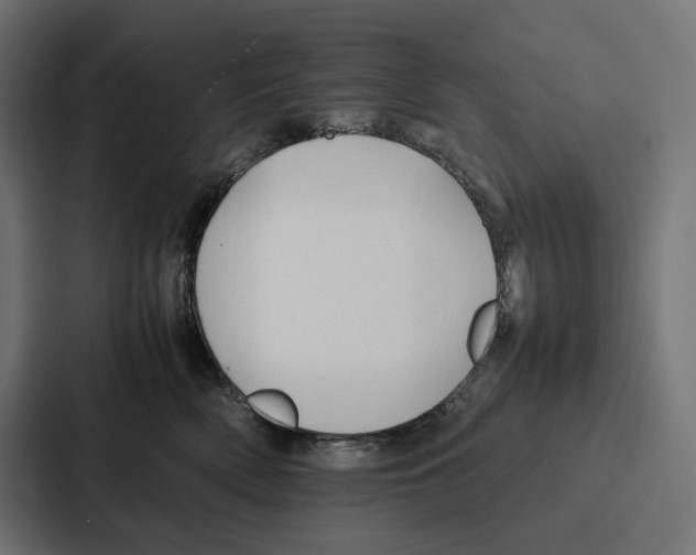 X0000087320522200705112139