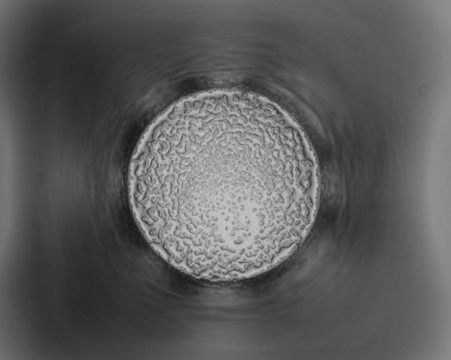 X0000087320523200705112139