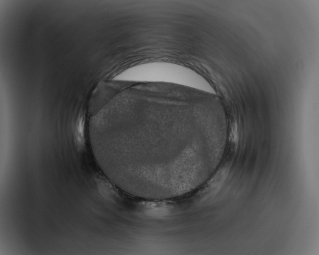 X0000087320524200705112139