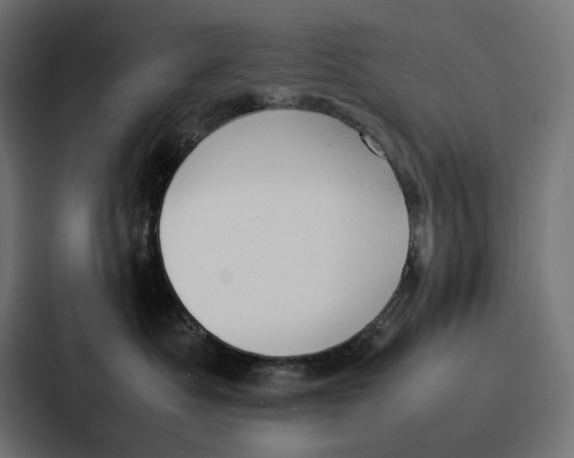 X0000087320525200705112139