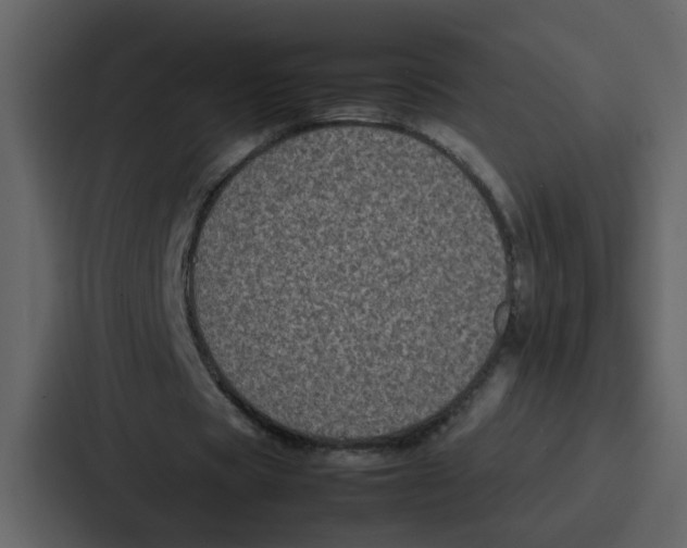 X0000087320529200705112139