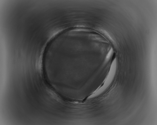 X0000087320531200705112139