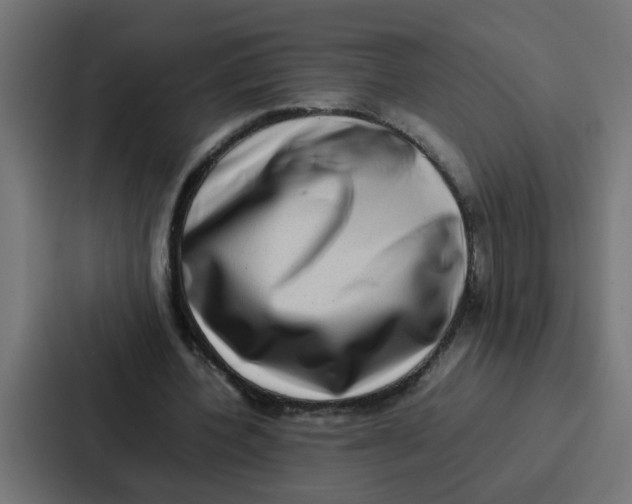 X0000087320532200705112139