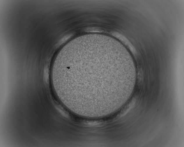 X0000087320533200705112139