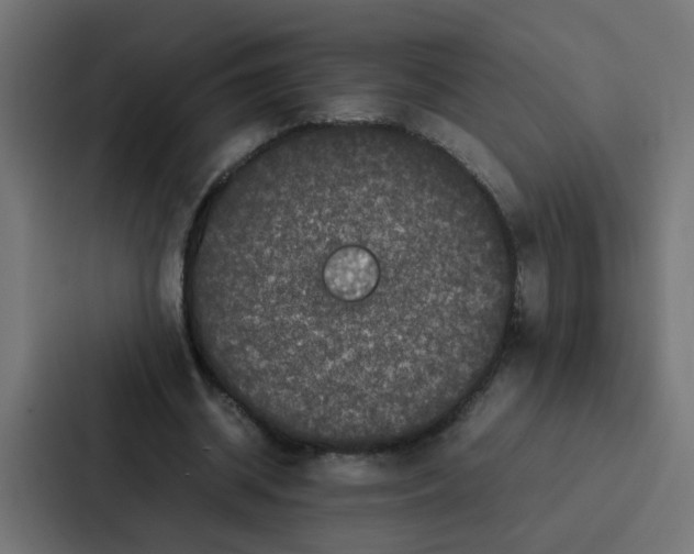 X0000087320534200705112139