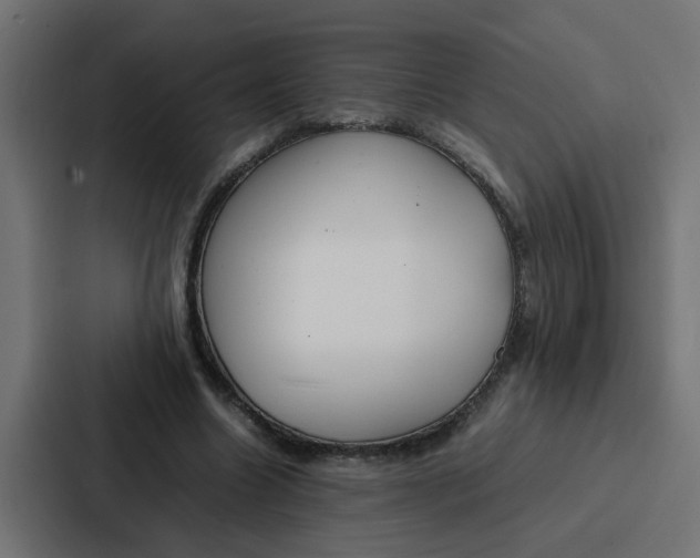 X0000087320538200705112139