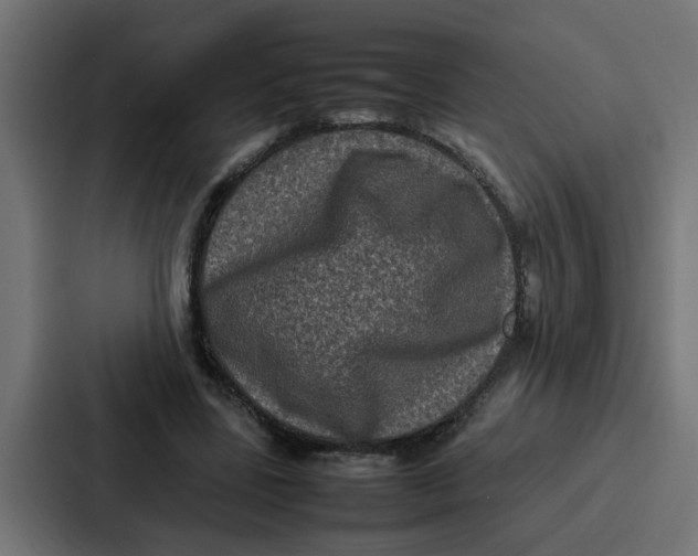 X0000087320539200705112139