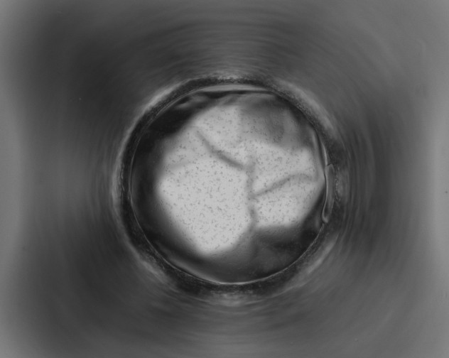 X0000087320540200705112139