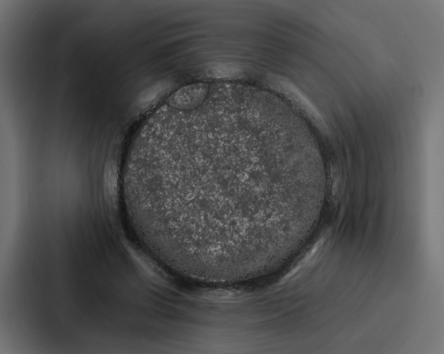 X0000087320542200705112139