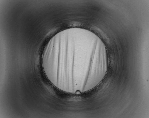 X0000087320543200705112139