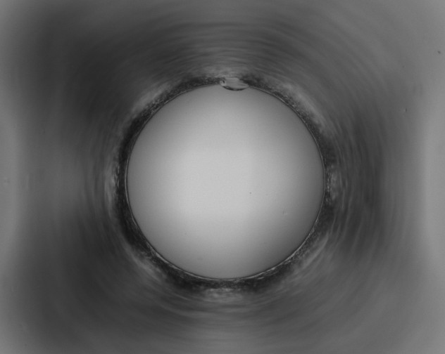 X0000087320544200705112139