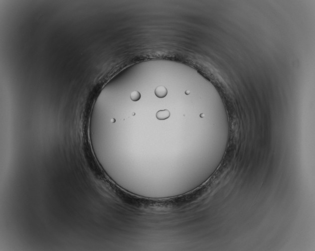 X0000087320546200705112139