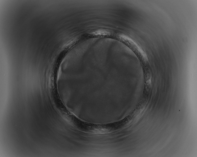 X0000087320547200705112139