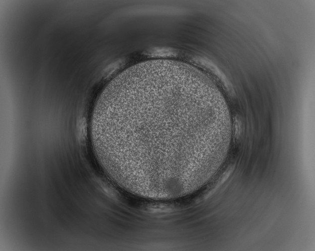 X0000087320549200705112139