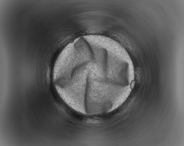 X0000087320550200705112139