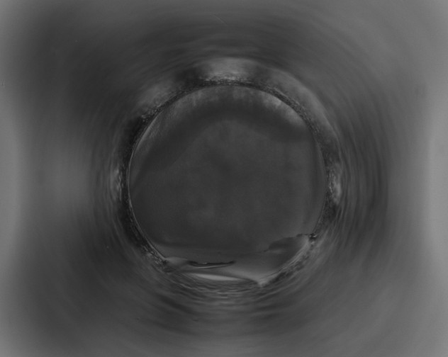 X0000087320551200705112139