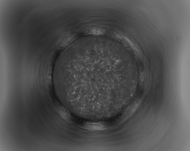 X0000087320553200705112139