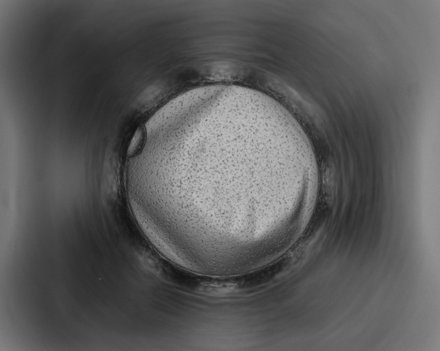 X0000087320554200705112139