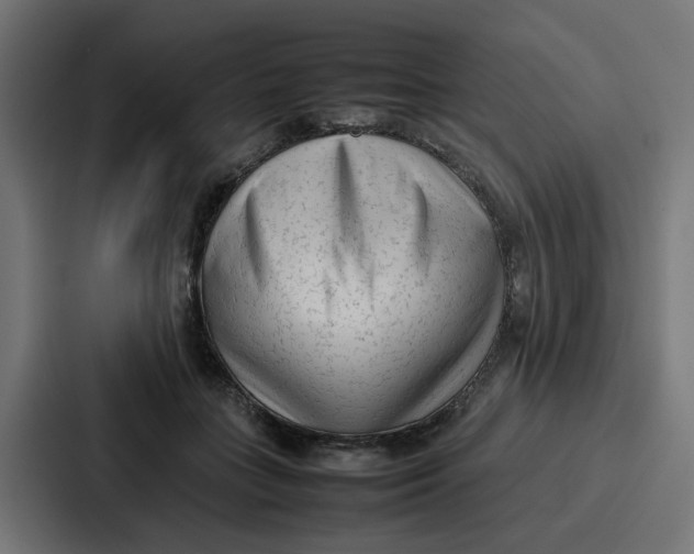 X0000087320555200705112139