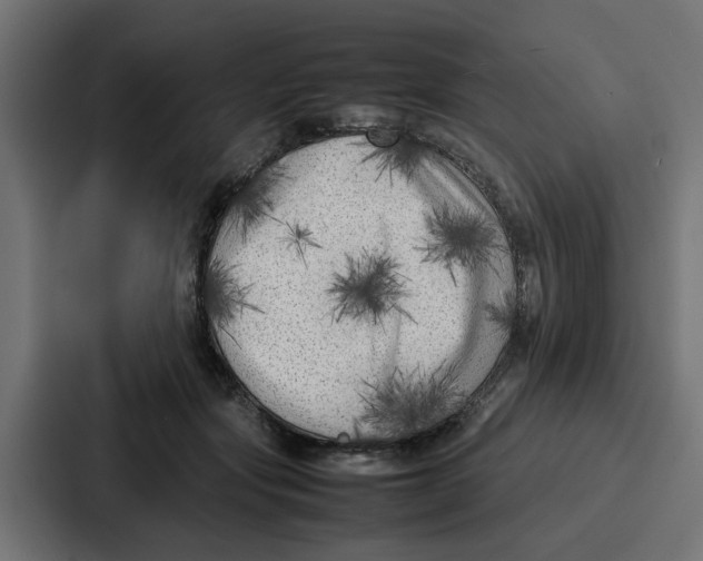 X0000087320557200705112139