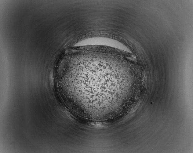 X0000087320558200705112139