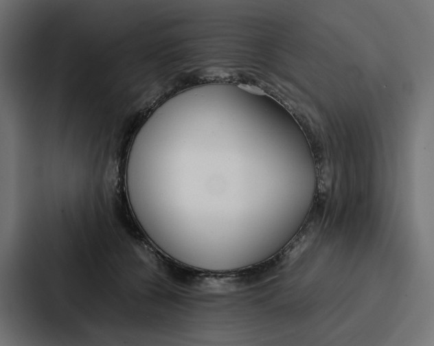 X0000087320560200705112139