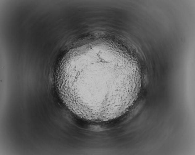 X0000087320561200705112139