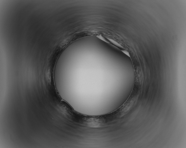 X0000087320562200705112139